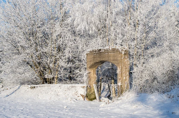 Altes Tor — Stockfoto