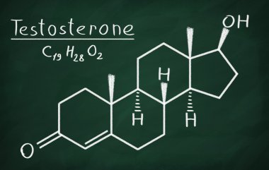 Testosteron