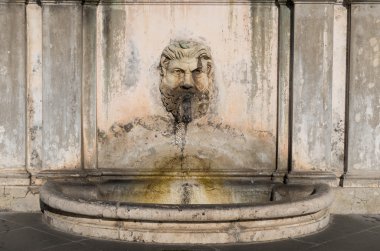 Çeşme Vatikan Müzesi avlusunda