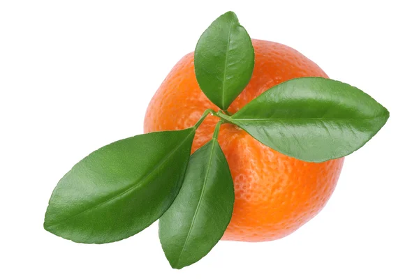 Mandarina naranja mandarina vista superior aislado —  Fotos de Stock