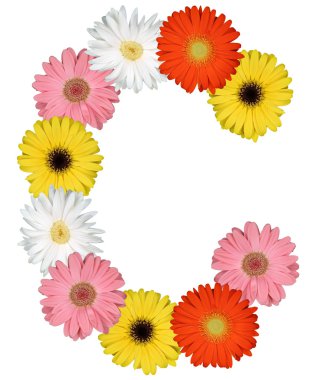 Çiçekler beyaz izole--dan C harfi alfabesi