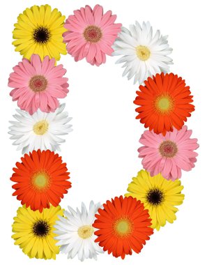 Çiçekler beyaz izole üzerinden D harfi alfabesi