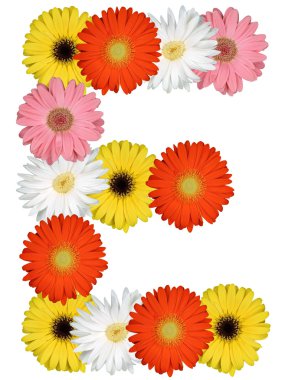 Çiçekler beyaz izole üzerinden E harfinin alfabesi