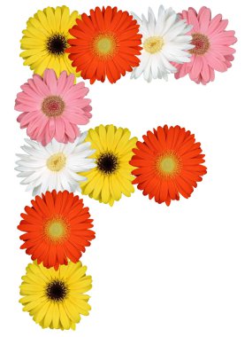 Çiçekler beyaz izole dan F harfi alfabesi