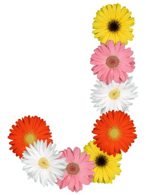 Çiçekler beyaz izole dan J harfi alfabesi