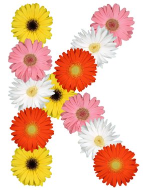 Çiçekler beyaz izole dan K harfi alfabesi