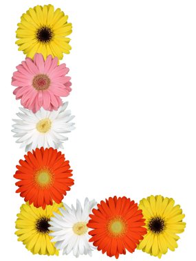 Çiçekler beyaz izole dan L harfi alfabesi