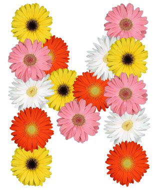 Çiçekler beyaz izole dan mektup M alfabesi