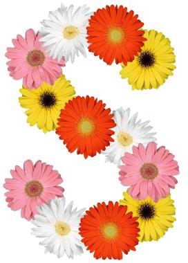 Çiçekler beyaz izole dan S harfi alfabesi