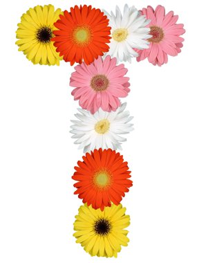 Çiçekler beyaz izole--dan T harfinin alfabesi