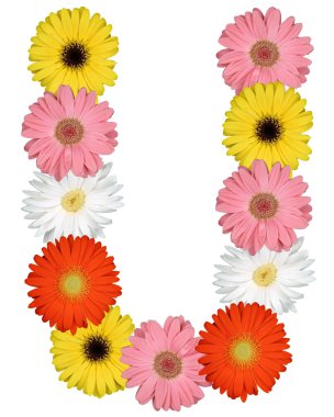 Çiçekler beyaz izole--dan U harfi alfabesi