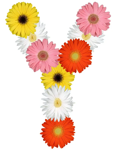 Letter Y alphabet from flowers isolated on white — Stock Photo, Image