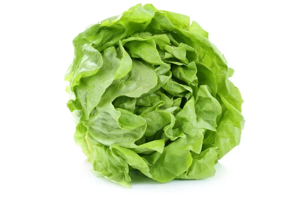Голова капустный салат органические овощи изолированы на белом — стоковое фото