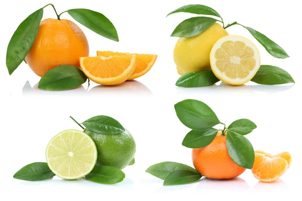 橘子白文华柠檬水果孤立的集合 — 图库照片