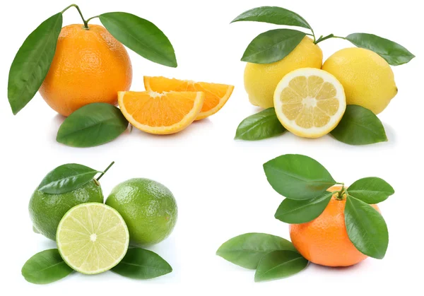 Collection d'oranges mandarine citron bio fruits isolés sur — Photo