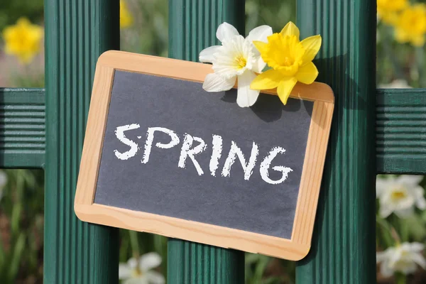 Spring springtime garden with flowers flower sign board — Stock Photo, Image