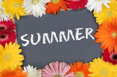 Yaz bahçesinde renkli çiçekler çiçek kurulu bulunan