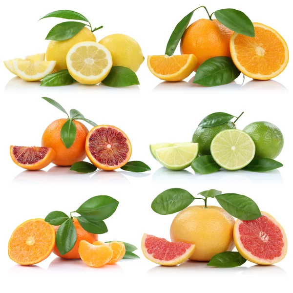 Colección de naranjas mandarinas limones pomelo frutas aisladas — Foto de Stock