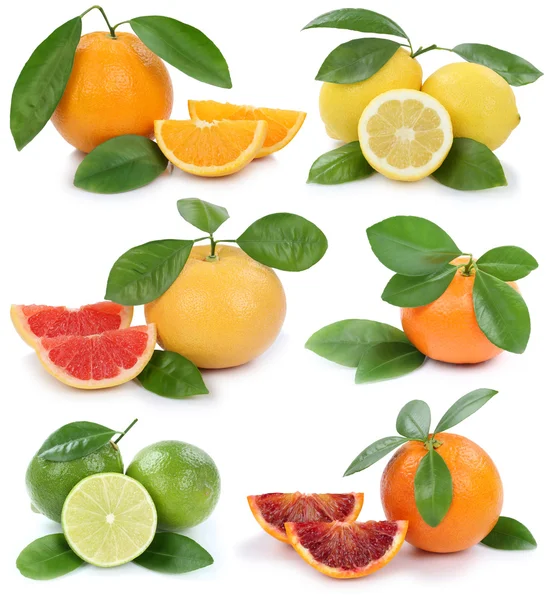Colección de naranjas mandarina limón pomelo frutas ecológicas i —  Fotos de Stock