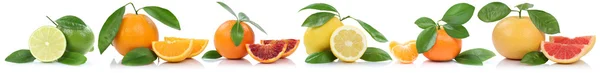 Samling av apelsiner mandarin citron grapefrukt frukter i rad — Stockfoto