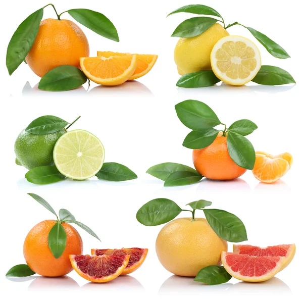 Colección de naranjas mandarina limón pomelo frutas aisladas —  Fotos de Stock