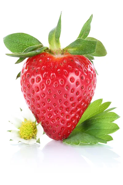 草莓的莓果叶上白色孤立 — 图库照片
