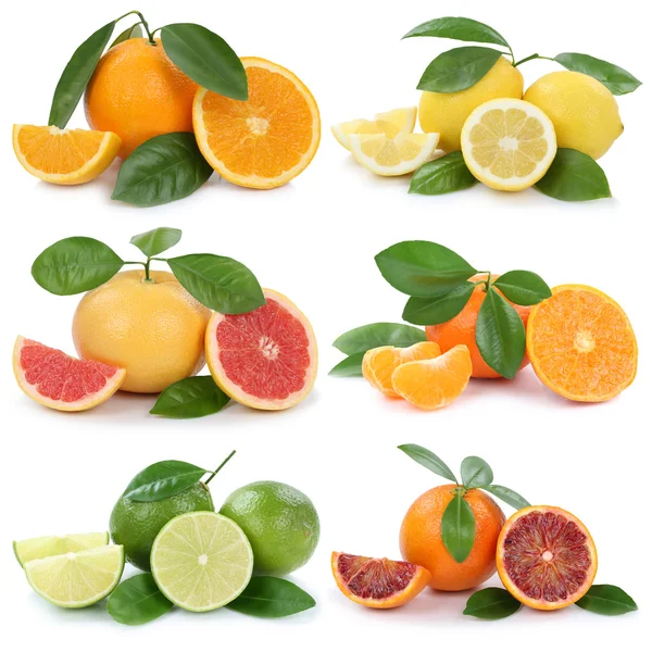 Raccolta di arance limoni pompelmi isolati su bianco — Foto Stock