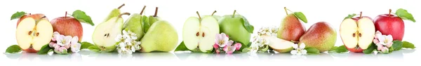 Apple and pear collection apples pears fruit fruits in a row iso — Stock Photo, Image