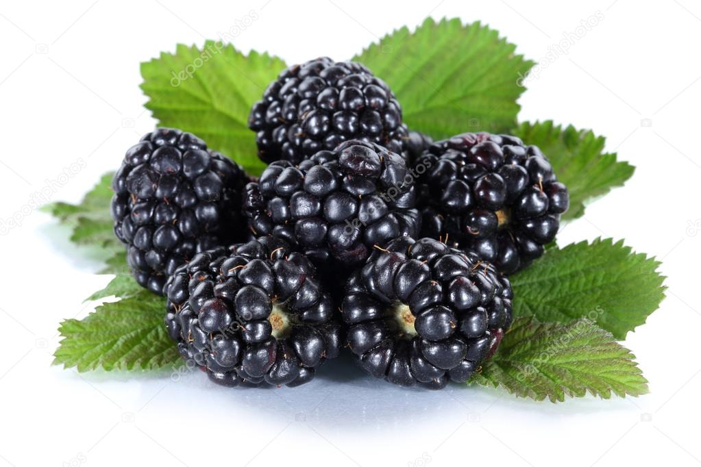 Blackberry fruit blackberries berry berries fruits isolated on w Stock