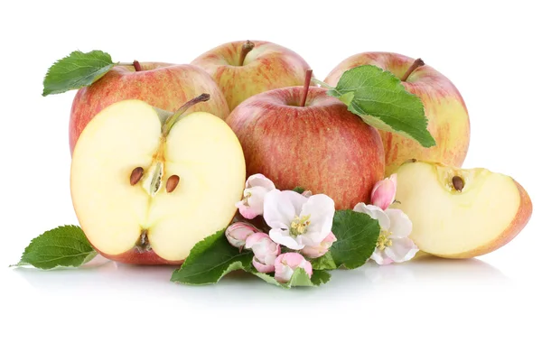 Яблучні фрукти нарізані нарізані навпіл ізольовані на білому — стокове фото