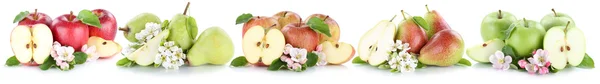 Äpple- och päronträd samling ange äpplen päron frukt skivad i rad — Stockfoto