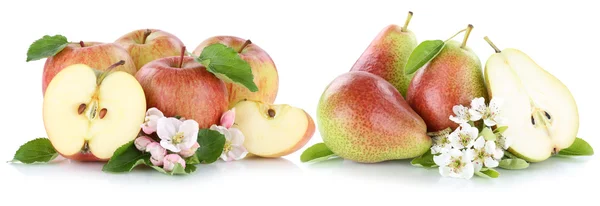 사과 배 사과 배 과일 레드 신선한 과일 조각 분리 — 스톡 사진