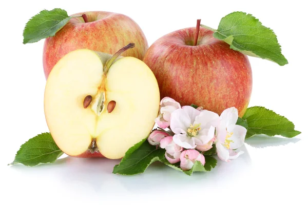 Яблучні фрукти свіжі фрукти ізольовані на білому — стокове фото