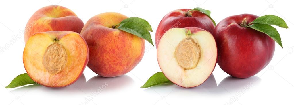 https://st2.depositphotos.com/1044737/11650/i/950/depositphotos_116507740-stock-photo-peach-nectarine-peaches-nectarines-fruit.jpg