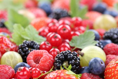Berry meyve çilek toplama çilek, yaban mersini raspbe