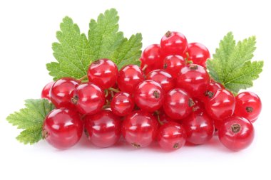 Kırmızı frenk üzümü kuş üzümü çilek meyve meyve beyaz izole