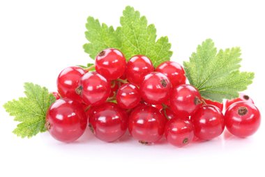 Kırmızı frenk üzümü kuş üzümü çilek meyve meyve izole