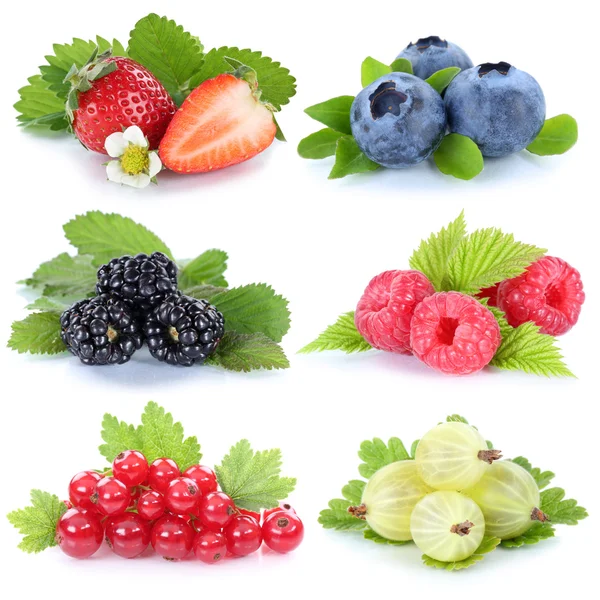 Collection de baies fraises bleuets groseille — Photo