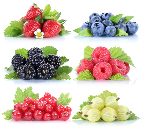 浆果草莓收集蓝莓红醋栗浆果 fr — 图库照片