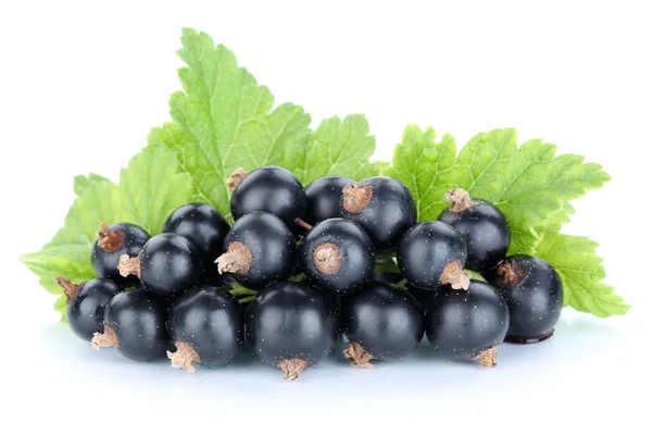 Grosellas negras bayas frutas frescas frutas aisladas en wh — Foto de Stock