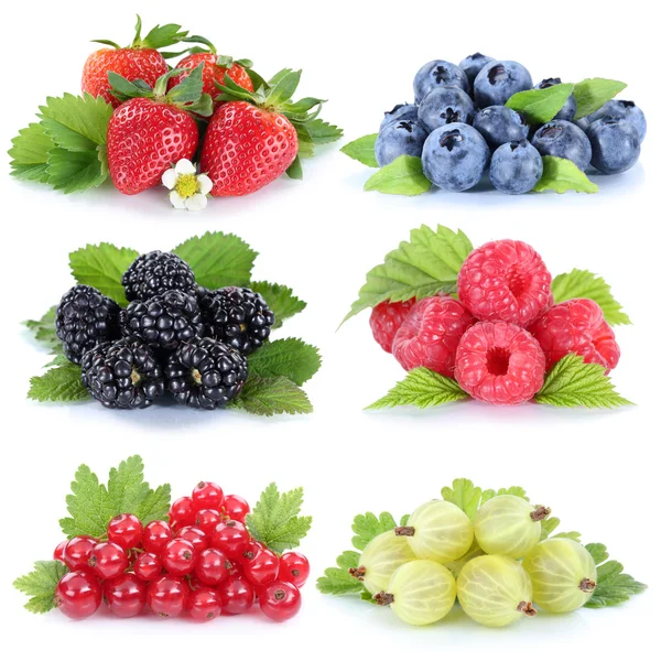 Collection of berries strawberries blueberries red currant berry — Stock Photo, Image