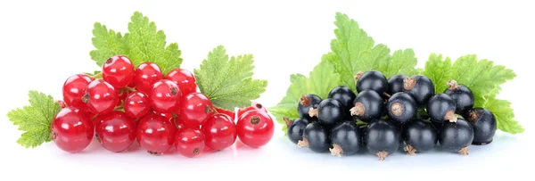 Rote und schwarze Johannisbeeren Beeren Früchte Früchte isoliert — Stockfoto