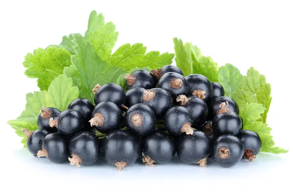 Чорна смородина ягоди фрукти ізольовані — стокове фото