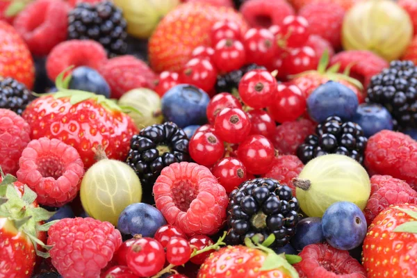 Frutos de la baya recolección de bayas fresas, arándanos frambuesa —  Fotos de Stock