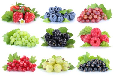 Çilek üzüm çilek yaban mersini toplama dut frui