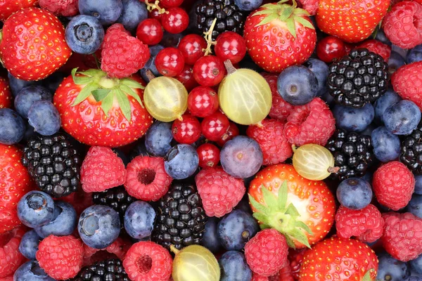Frutos de la baya recolección de bayas fresas, arándanos frambuesa — Foto de Stock