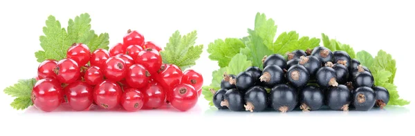 Grosellas rojas y negras bayas frutas frescas fruta aislado — Foto de Stock