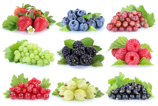 Collection of berries grapes strawberries blueberries berry frui — Stock Photo, Image