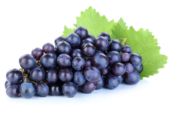 Raisin fruits bleus fruits isolés sur blanc — Photo