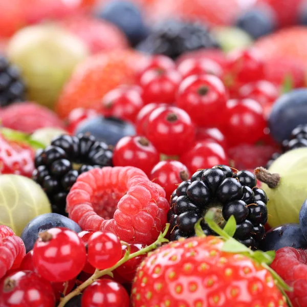 Frutti di bosco frutti di bosco frutta raccolta fragole, mirtilli — Foto Stock